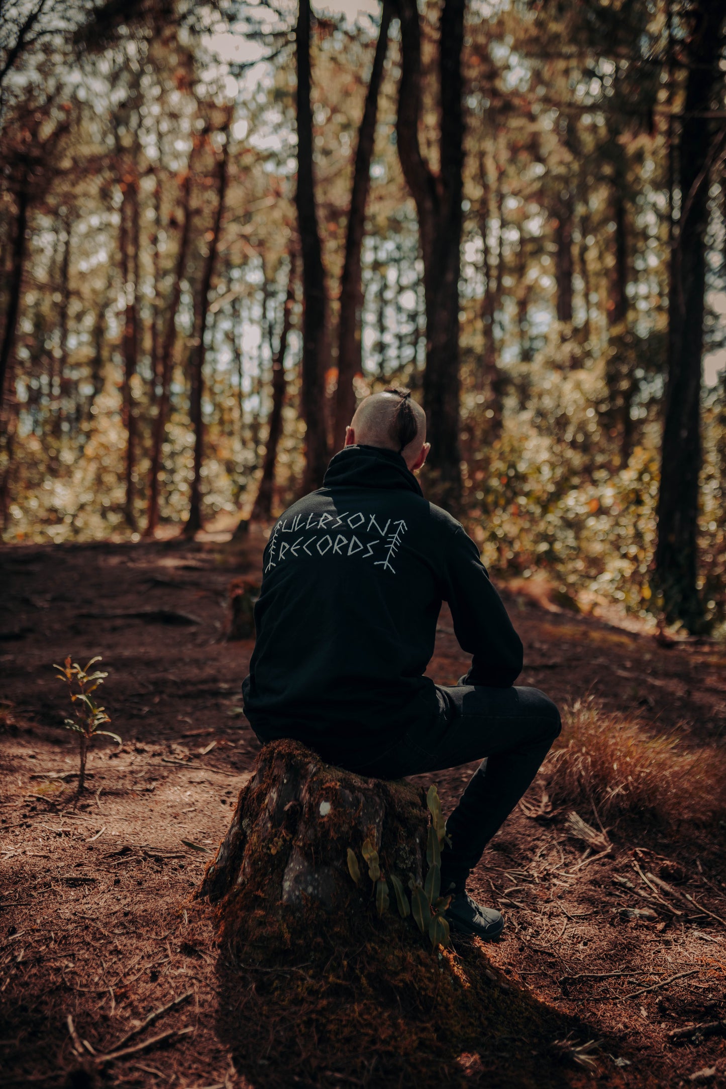 W. Ullrson -  Hoodie Unisex - (Ullrson Records Logo on Back / Ullrson Logo on Front)